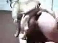 A large whore is putting a red dog knot in her dripping wet cunt.